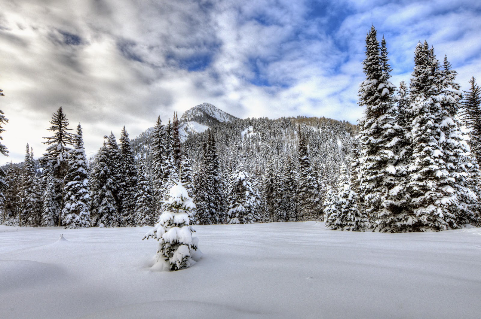 Paul Bradley Photography Fresh Snow in Big Cottonwood Canyon