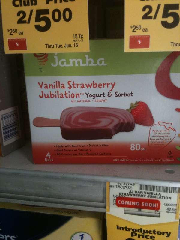 FroYo Girl Speaks New Frozen Yogurt Bars