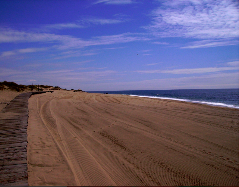 [screen-capture-3.png]