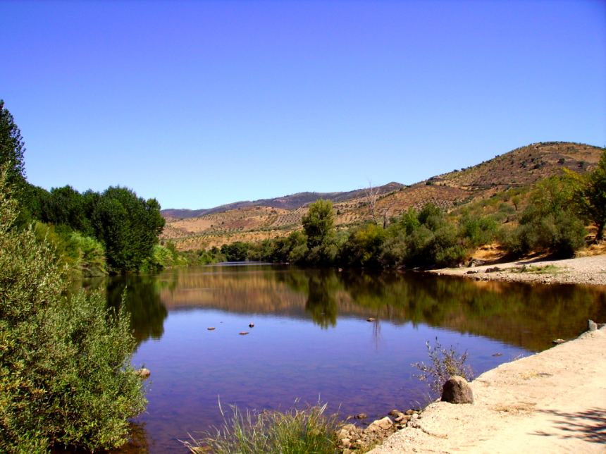 [screen-capture-2.png]