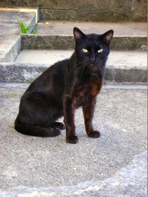 [screen-capture-5.png]