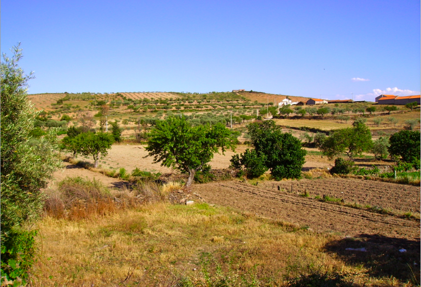 [screen-capture.png]