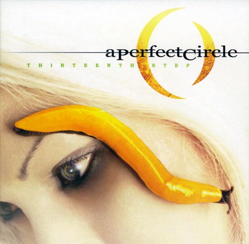 [A_Perfect_Circle-Thirteenth_Step.jpg]
