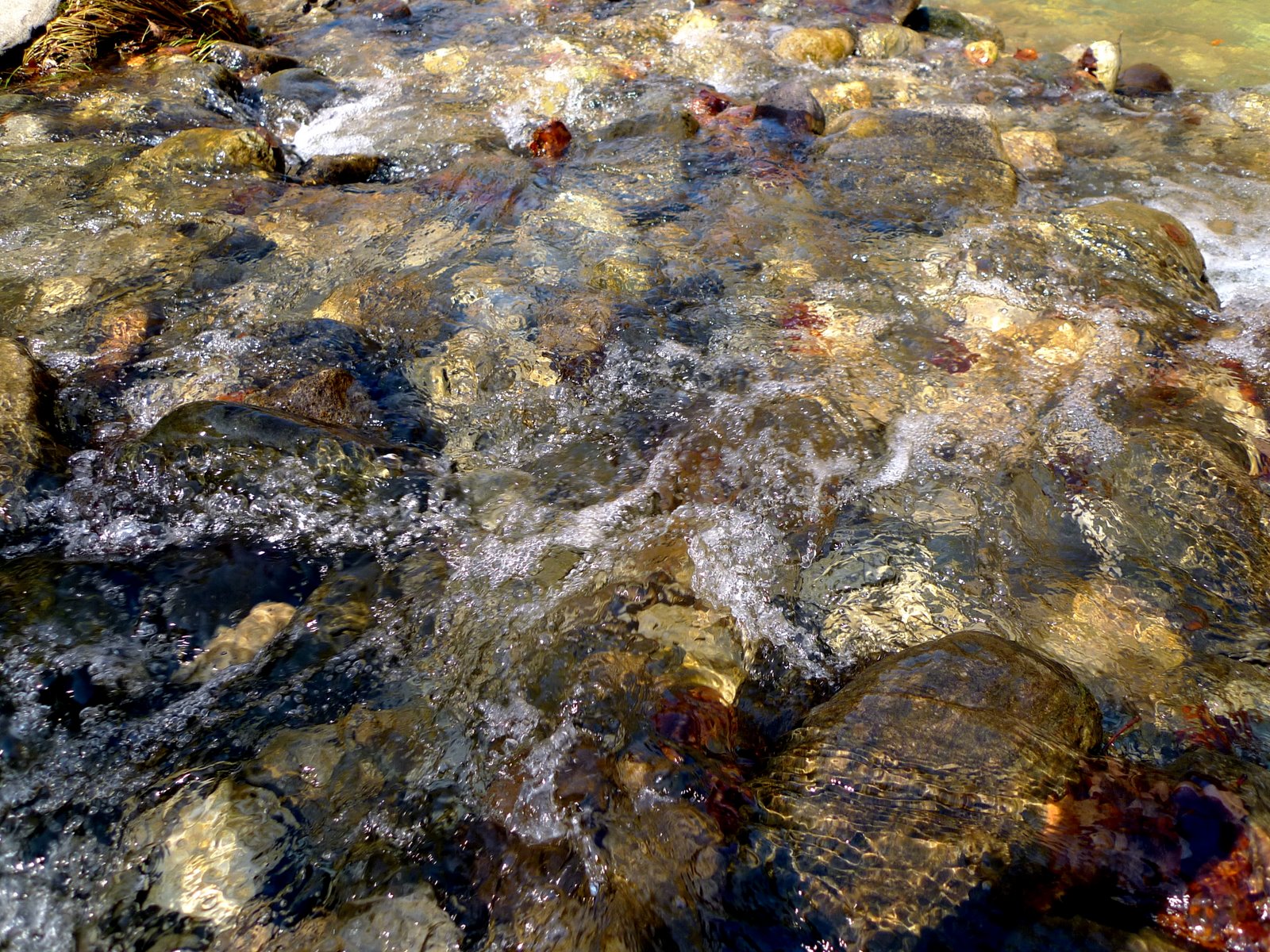 [P1000595.JPG]