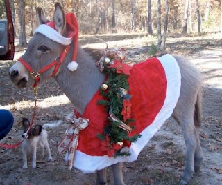 Christmas%20donkey08.jpg
