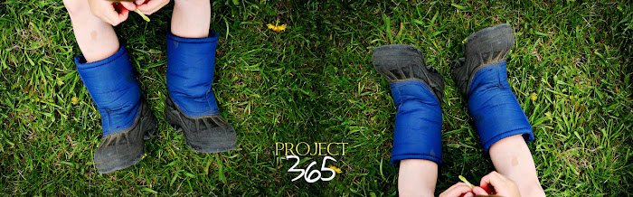 project365
