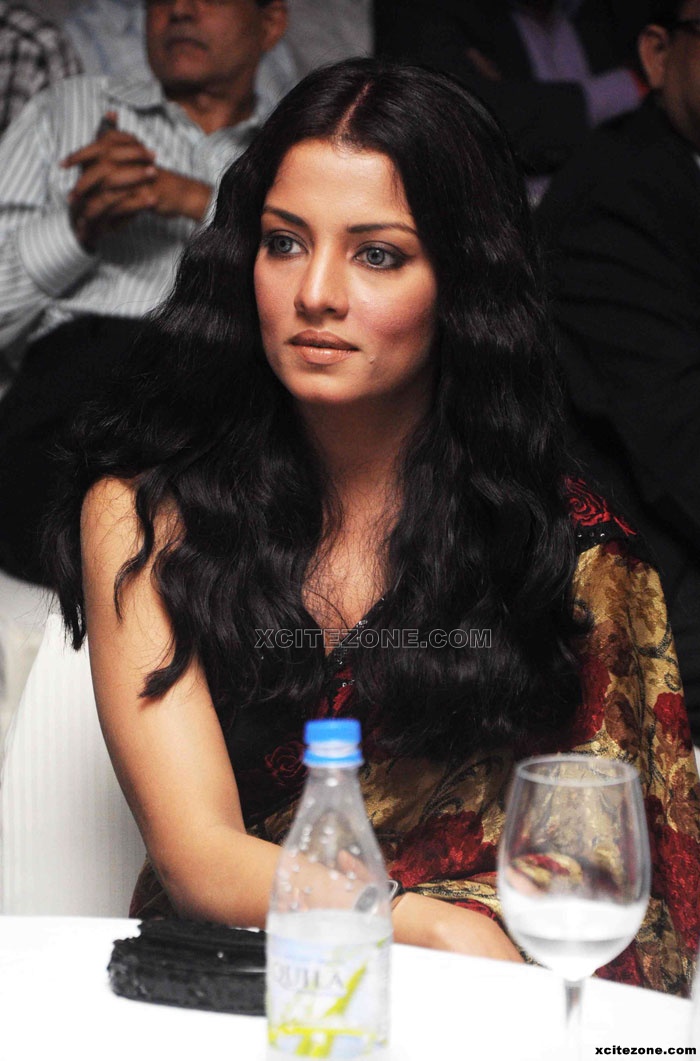 Sexy Celina Jaitley With Curly Hair Graces Egyptian Tourism Bash Hot
