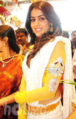 Genelia DSouza - Genelia In Saree At Kalyana Kanchi wedding store