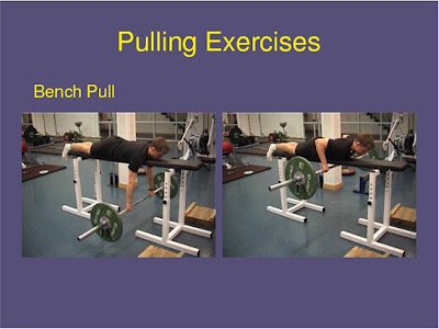 The Association Of Rowing Coaches South Africa Strength Training