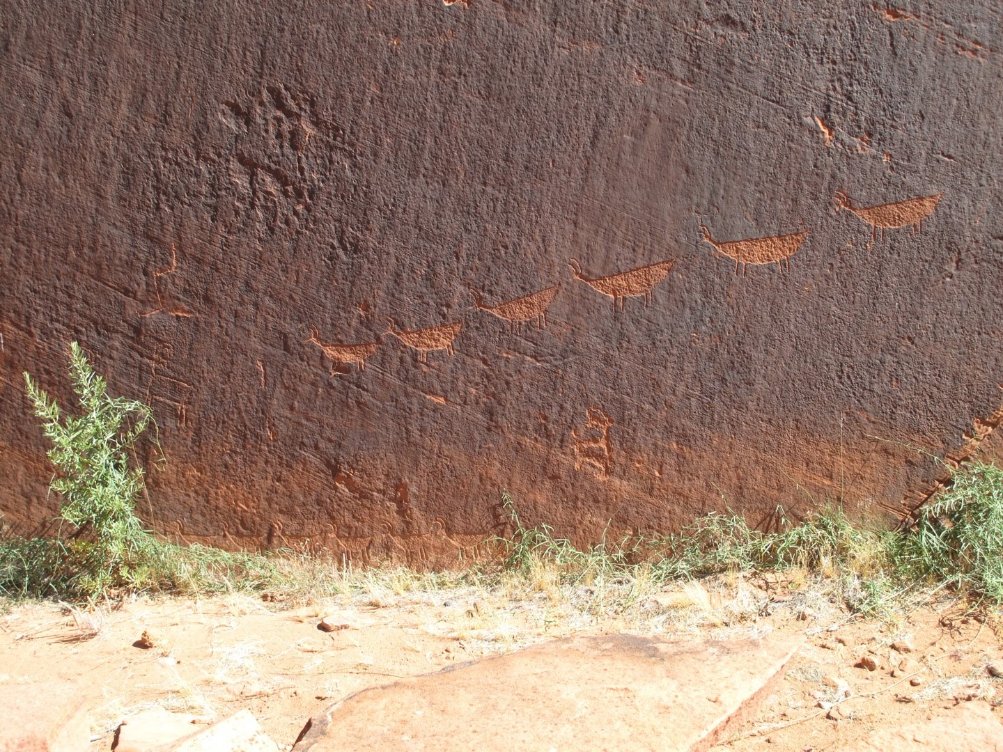 Colorado Petroglyphs
