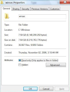 What is WinSxS Folder and How