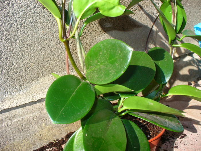 [P1050337.JPG]