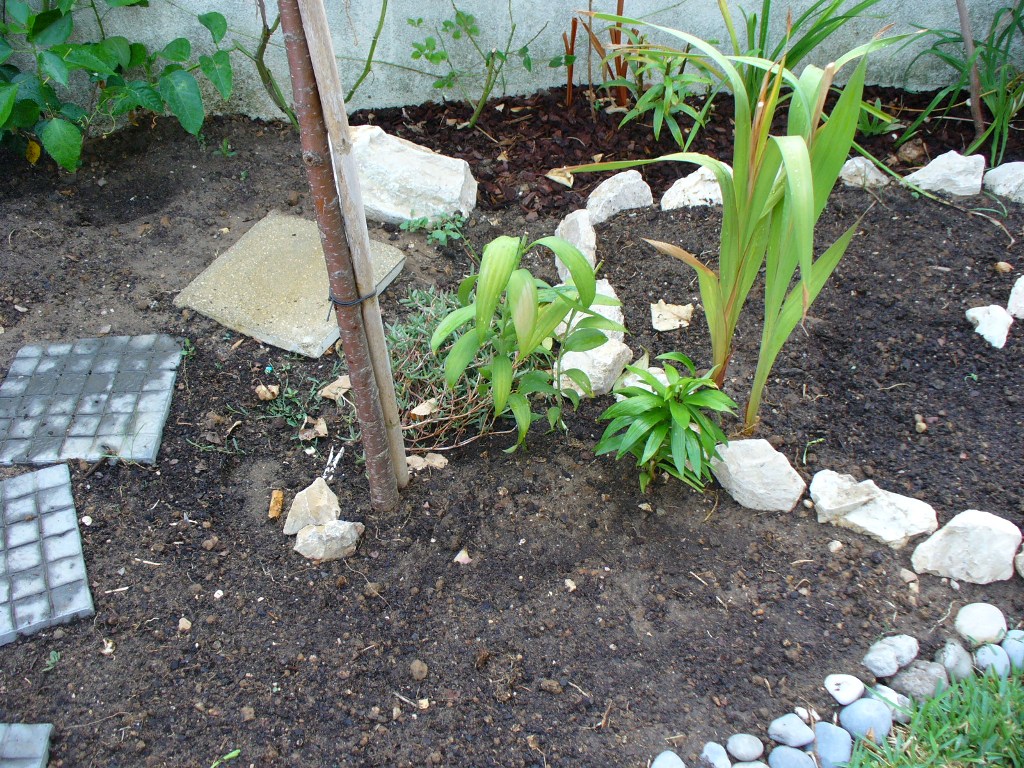 [jardim2+8set07.JPG]