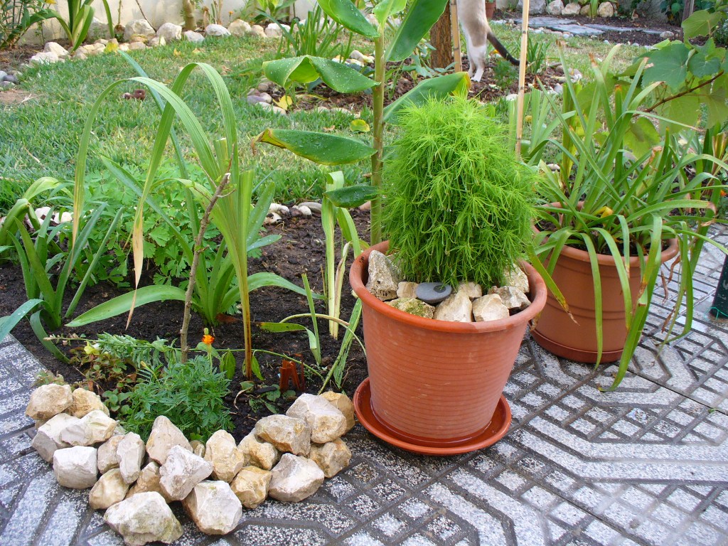 [jardim5+8set07.JPG]