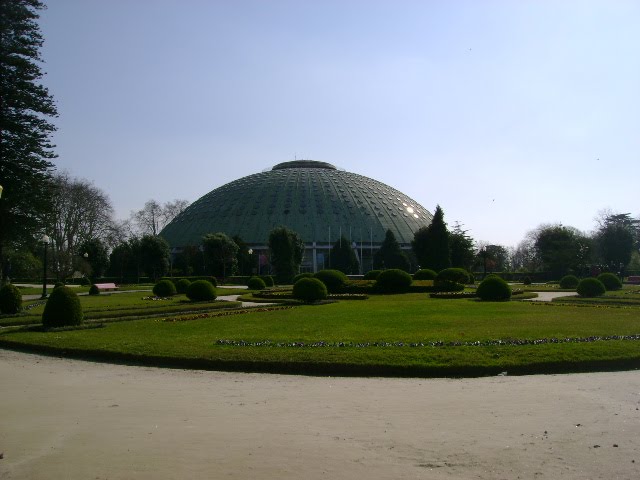 [DSC05498.JPG]