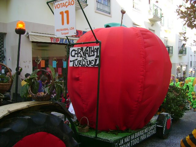[DSC02846.JPG]
