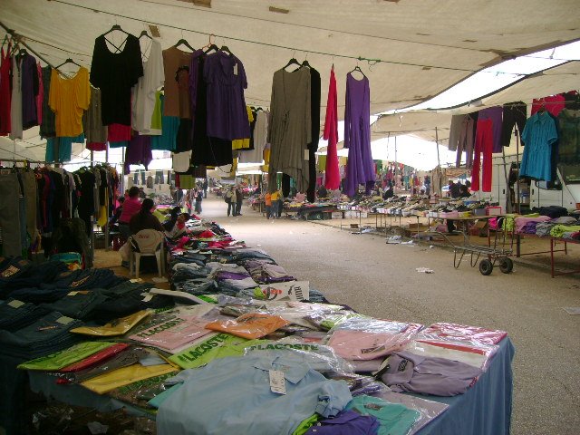 [DSC03233.JPG]