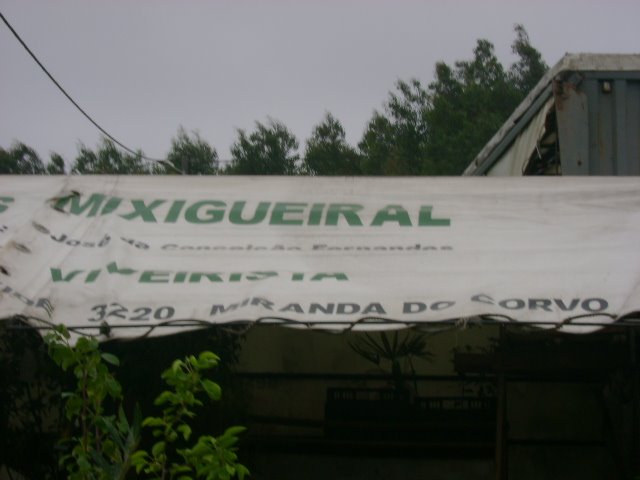 [DSC03248.JPG]