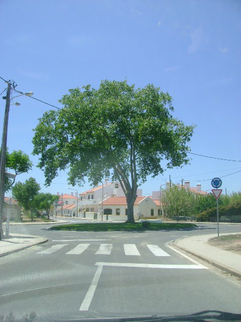 [DSC03713.JPG]