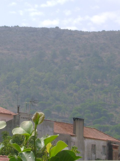 [DSC04419.JPG]