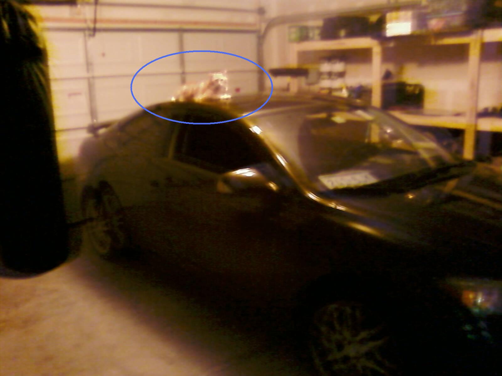 [PIC-0054-758601.jpg]