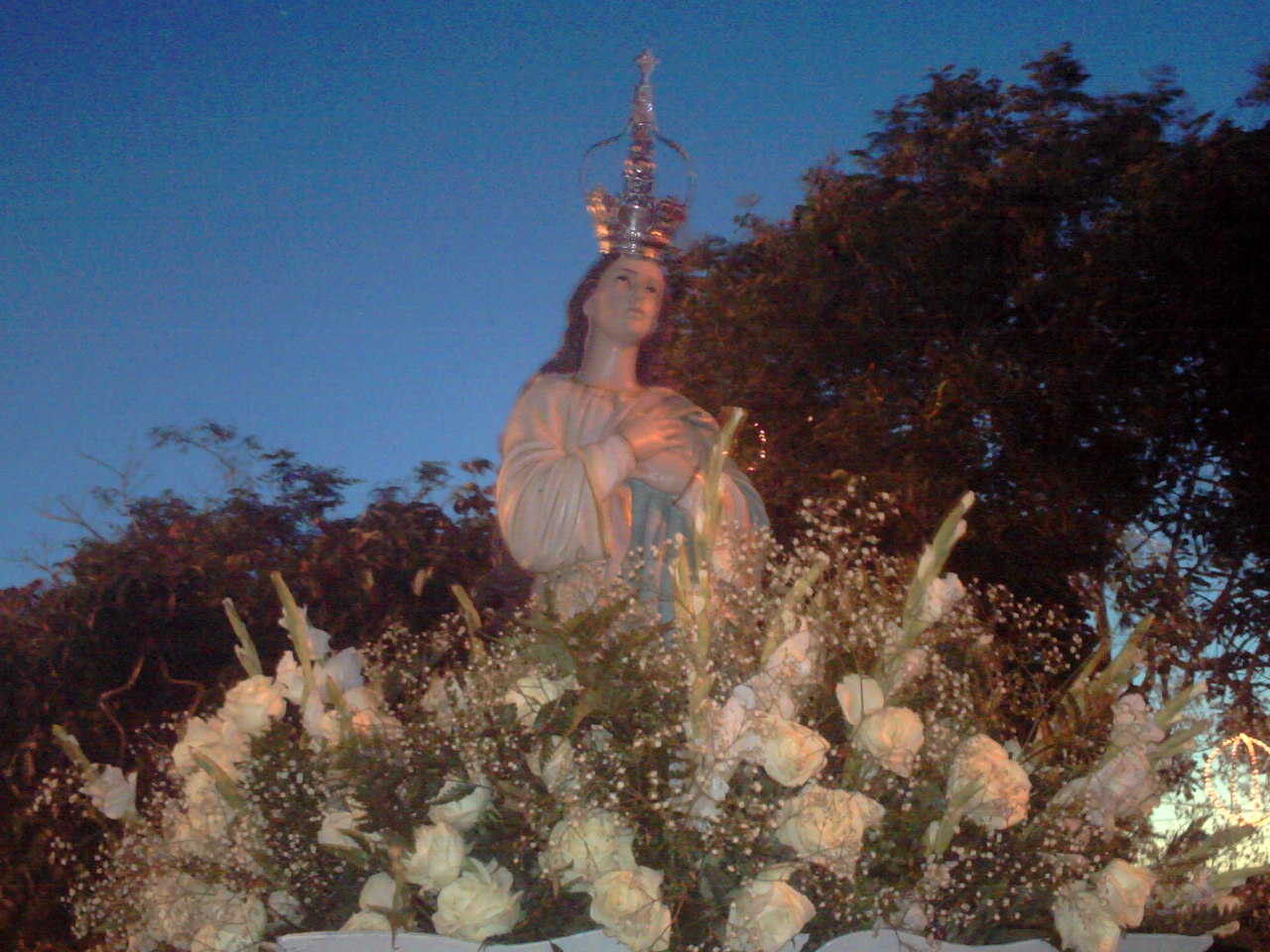 [PICT1092.JPG]