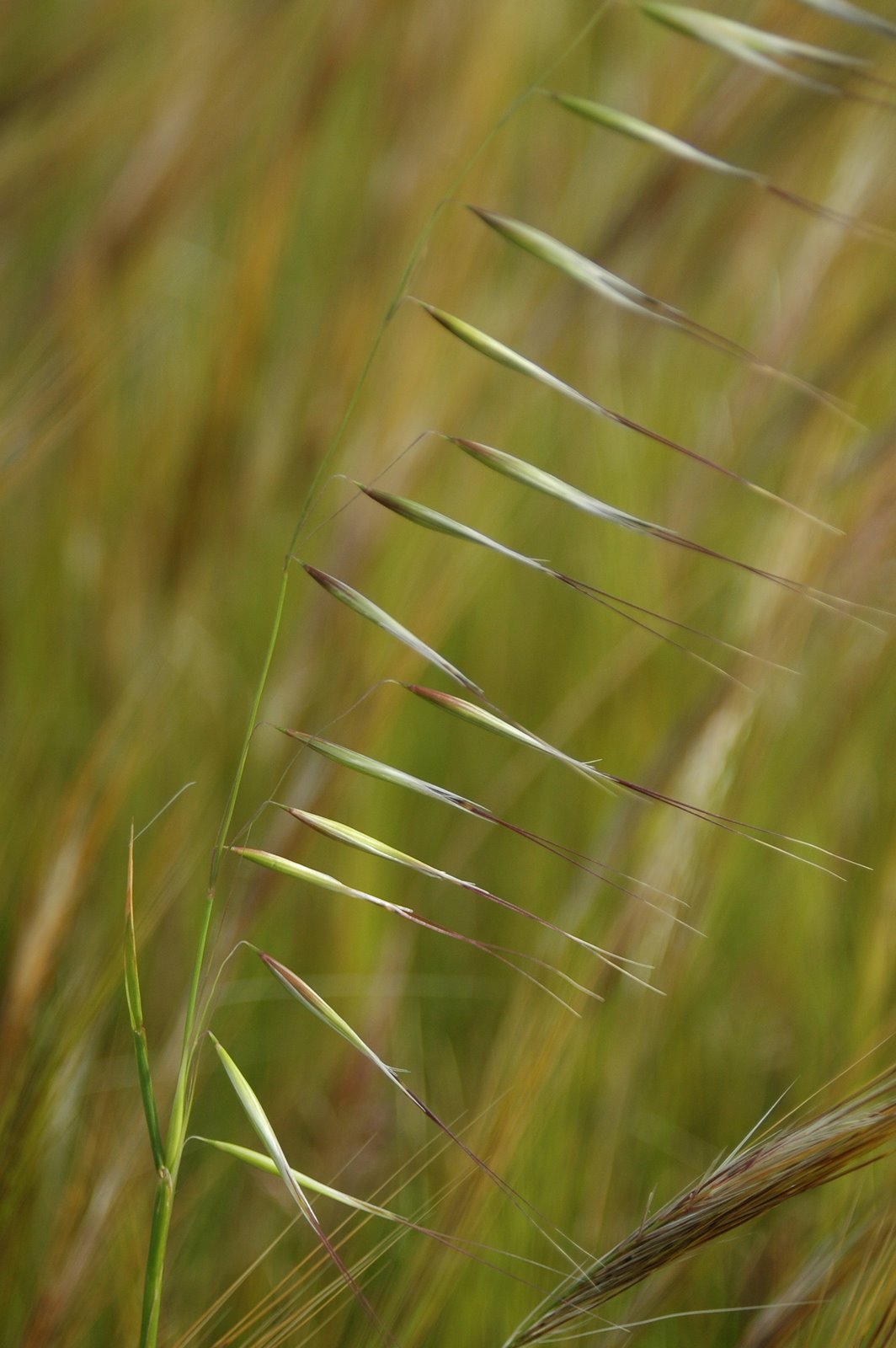 [Exercício+1.1.jpg]