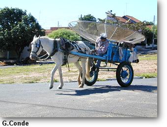 [Carroca1.jpg]