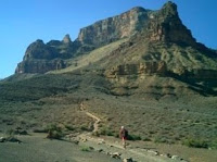 a person walks down a path leading to a mountain