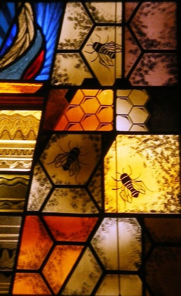 [n633405706_1945486_8264.jpg]