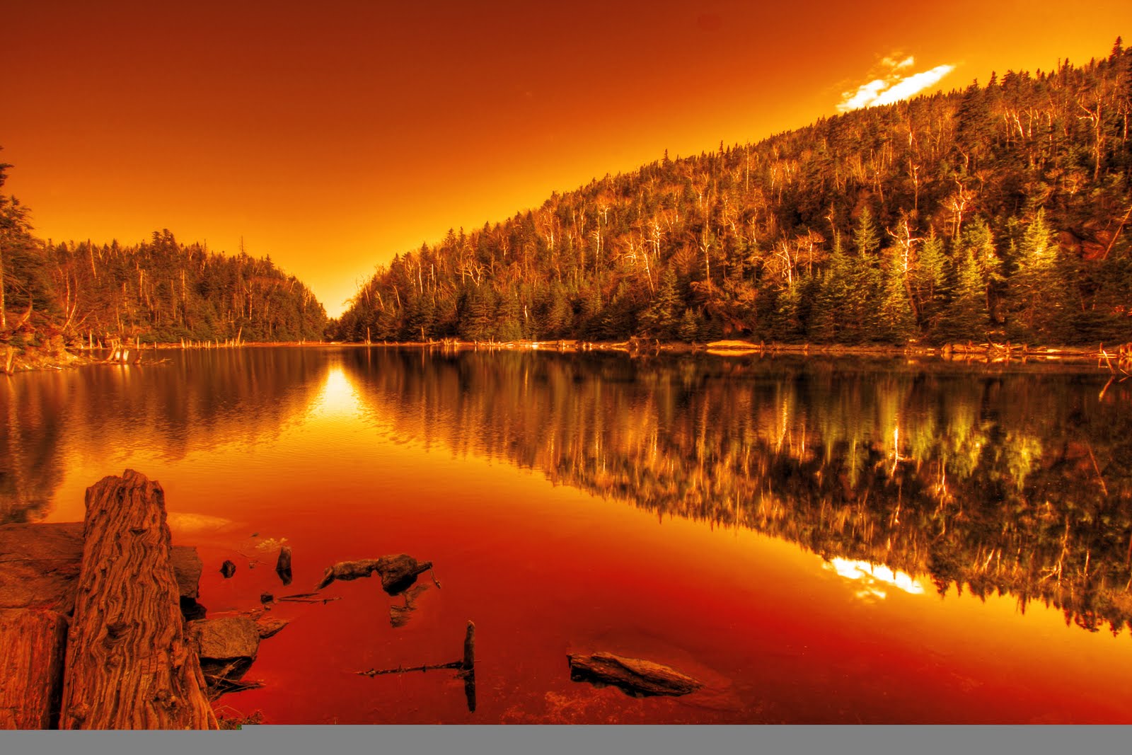 [1115844_97749696.jpg]