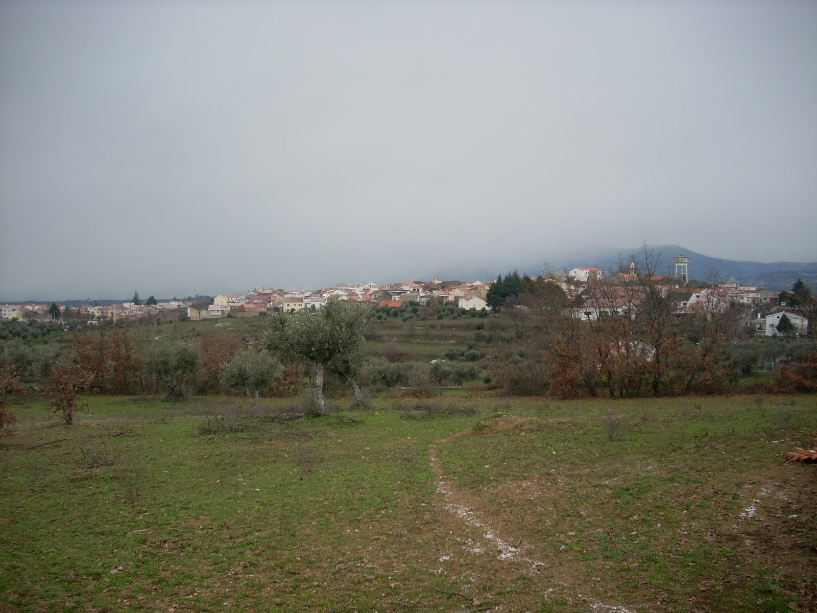 [DSCN0876.JPG]