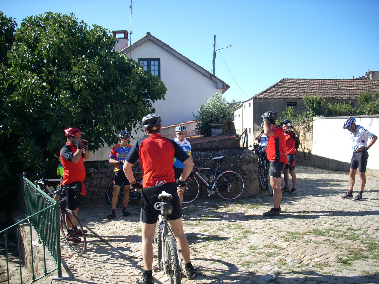 [DSCN0795.JPG]