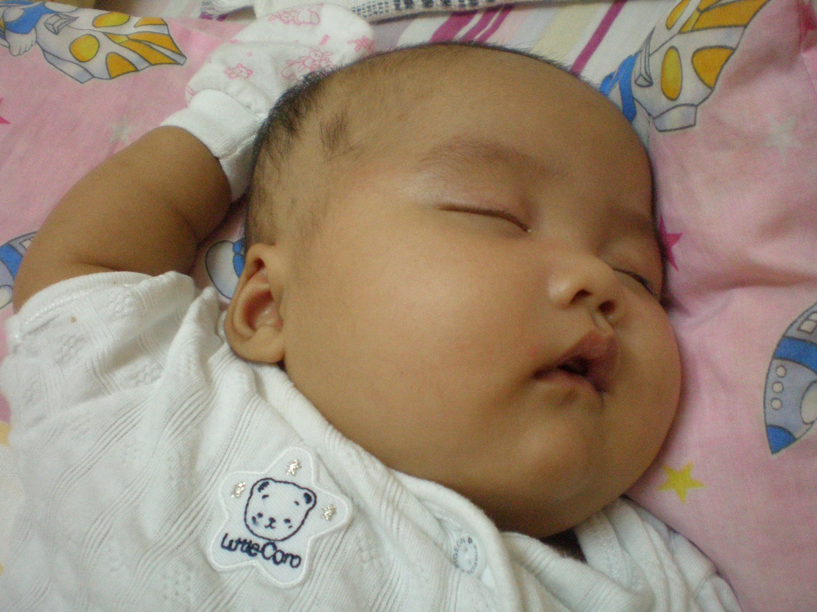 [P6300626.JPG]