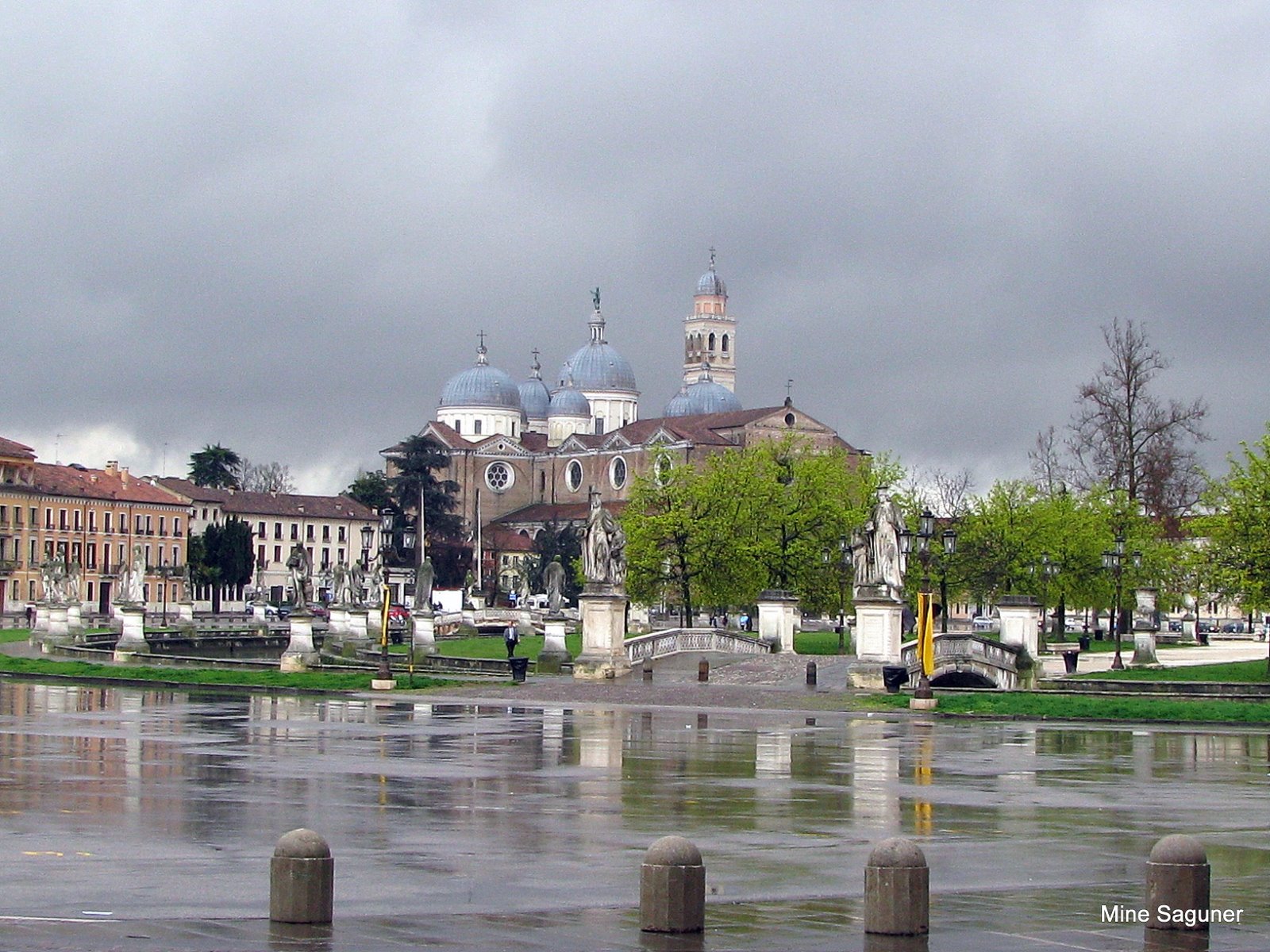 [IMG_1769.JPG]