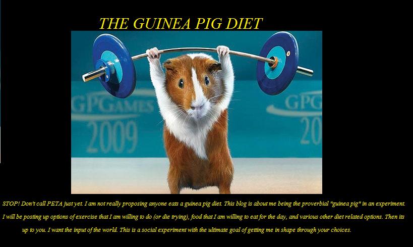 The Guinea Pig Diet