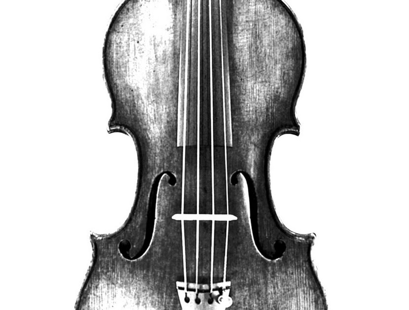 FAAARTS 5 Caroline D'Angelo The history and physics of stringed