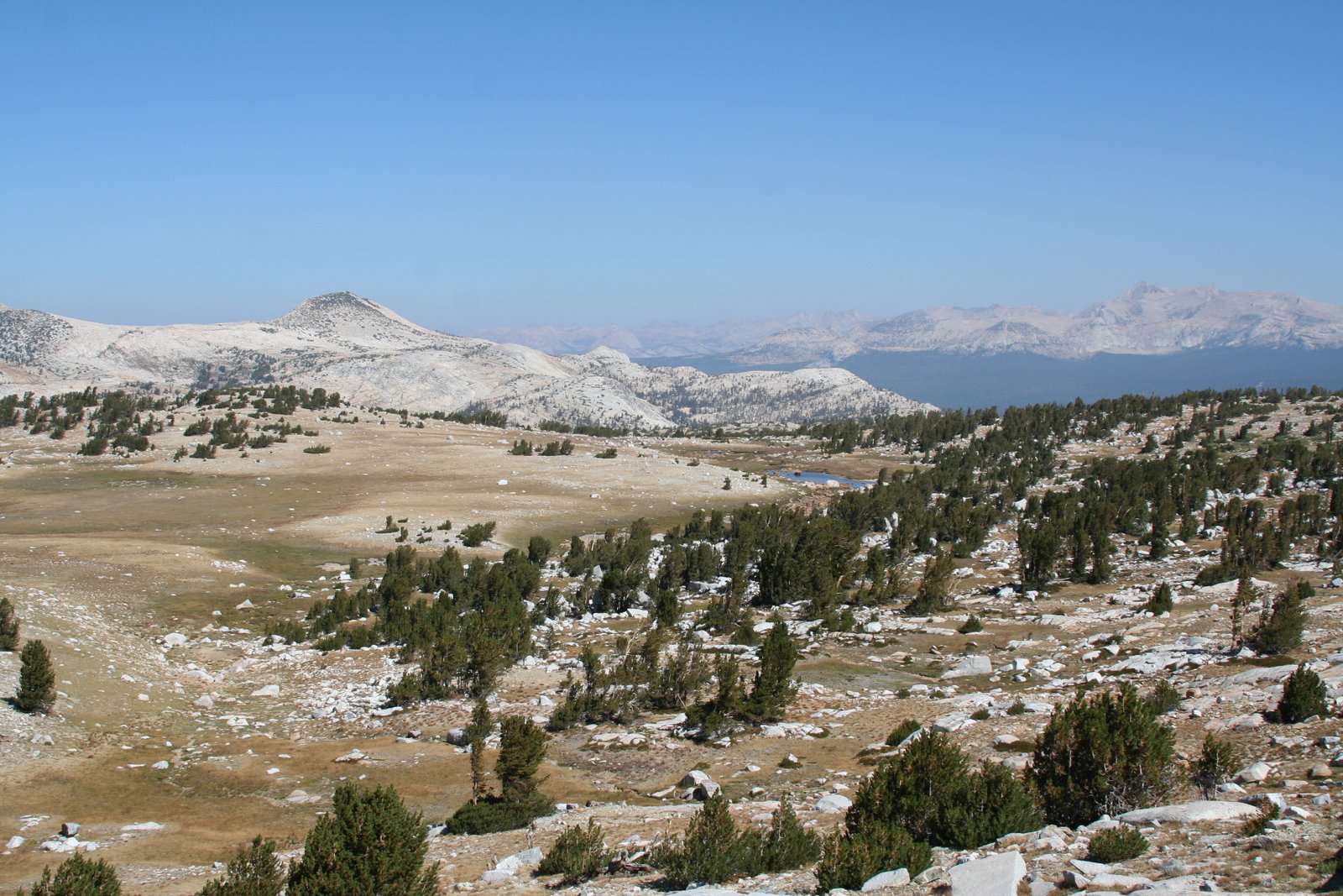 [IMG_9843.JPG]