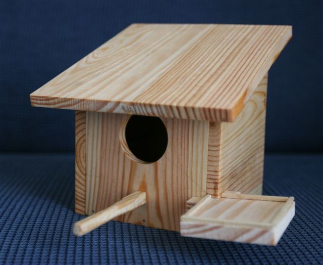 [Casa-Passaros.jpg]