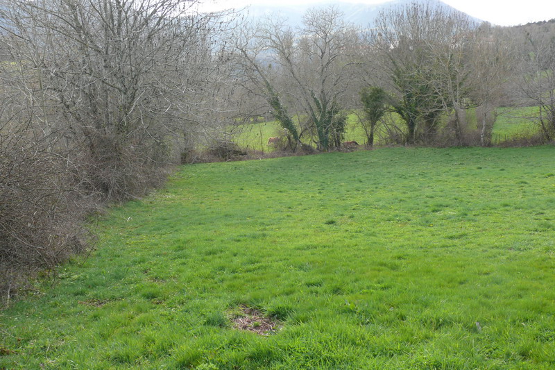 [campoburras_11.JPG]