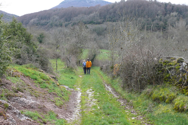 [campoburras_01.JPG]