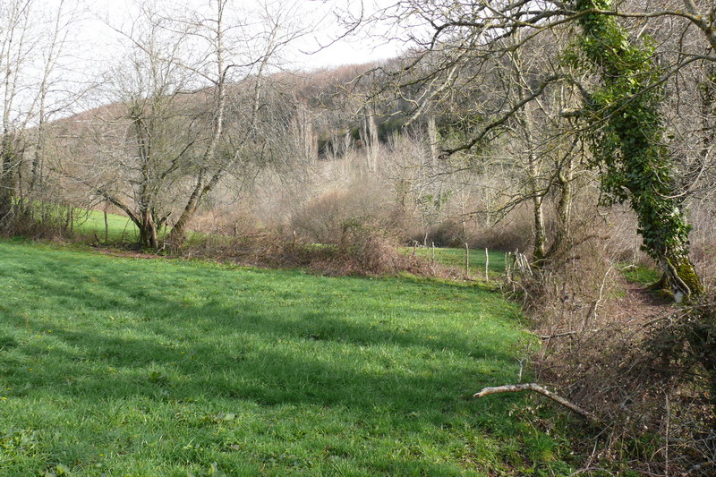 [campoburras_06.JPG]