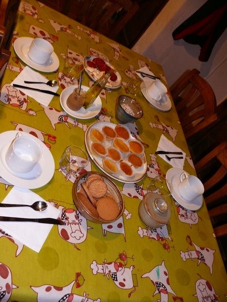 [P1060131_redimensionar.JPG]