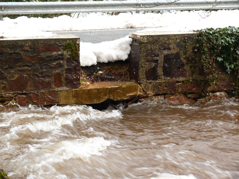 [riadacasasrurales_06.JPG]