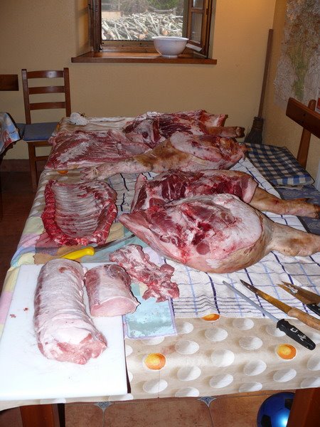 [P1060768_redimensionar.JPG]