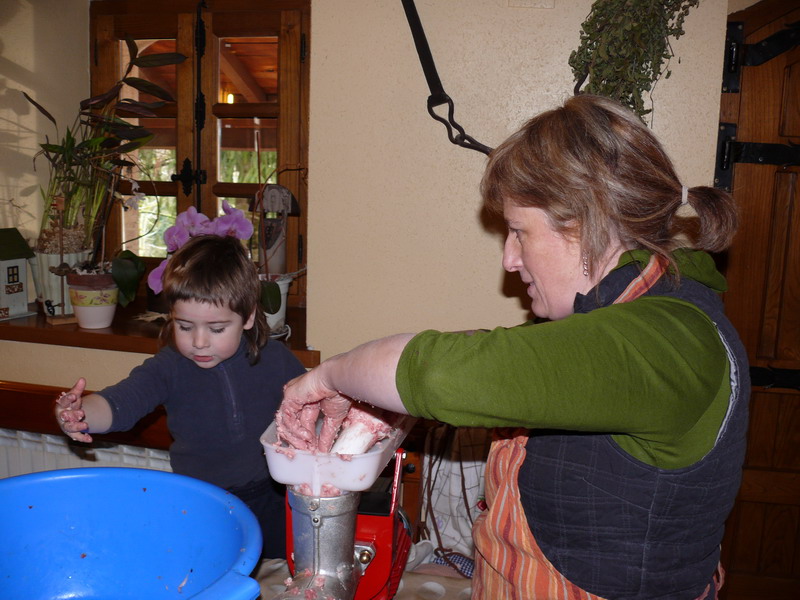 [P1060771_redimensionar.JPG]