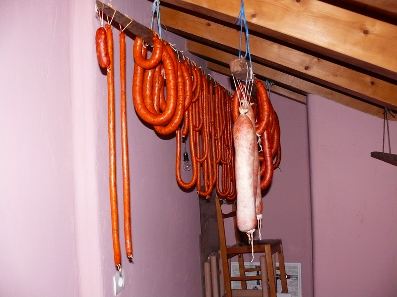 [P1060782_redimensionar.JPG]