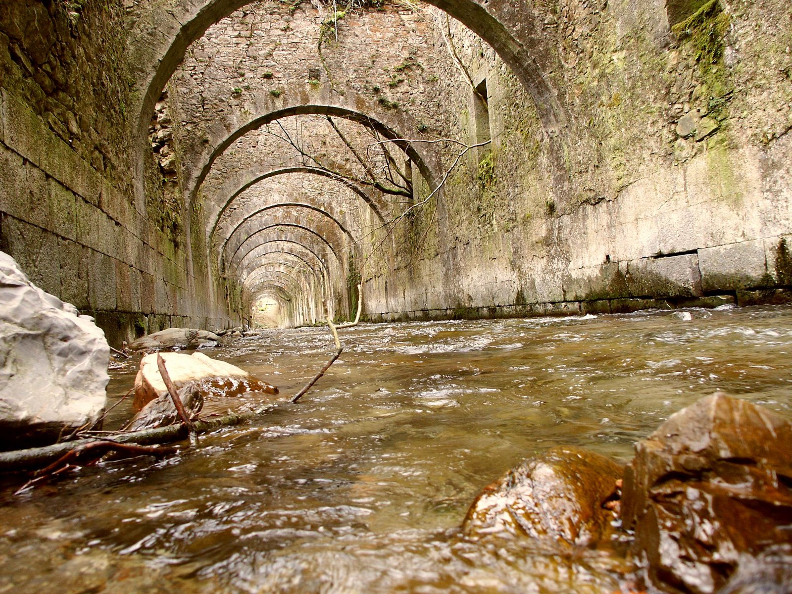 [Re-exposición+de+cdd155.JPG]