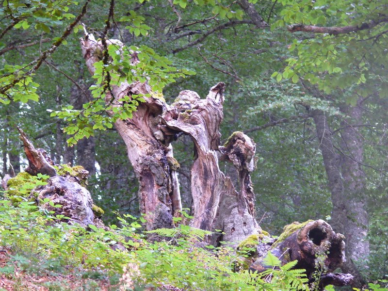 [entrenieblas+arrieta_12.JPG]