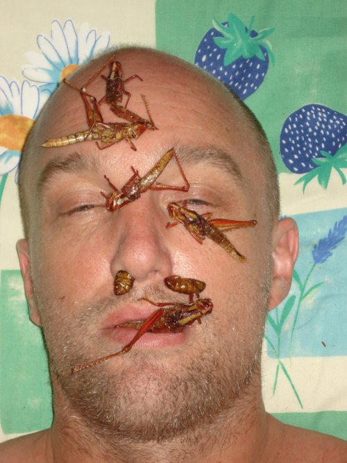 [insects_on_face.jpg]